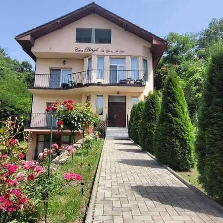 Casa Patryk Hotel Orşova Buitenkant foto
