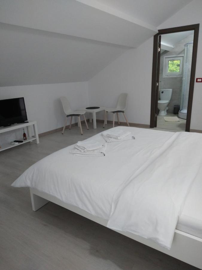 Casa Patryk Hotel Orşova Buitenkant foto