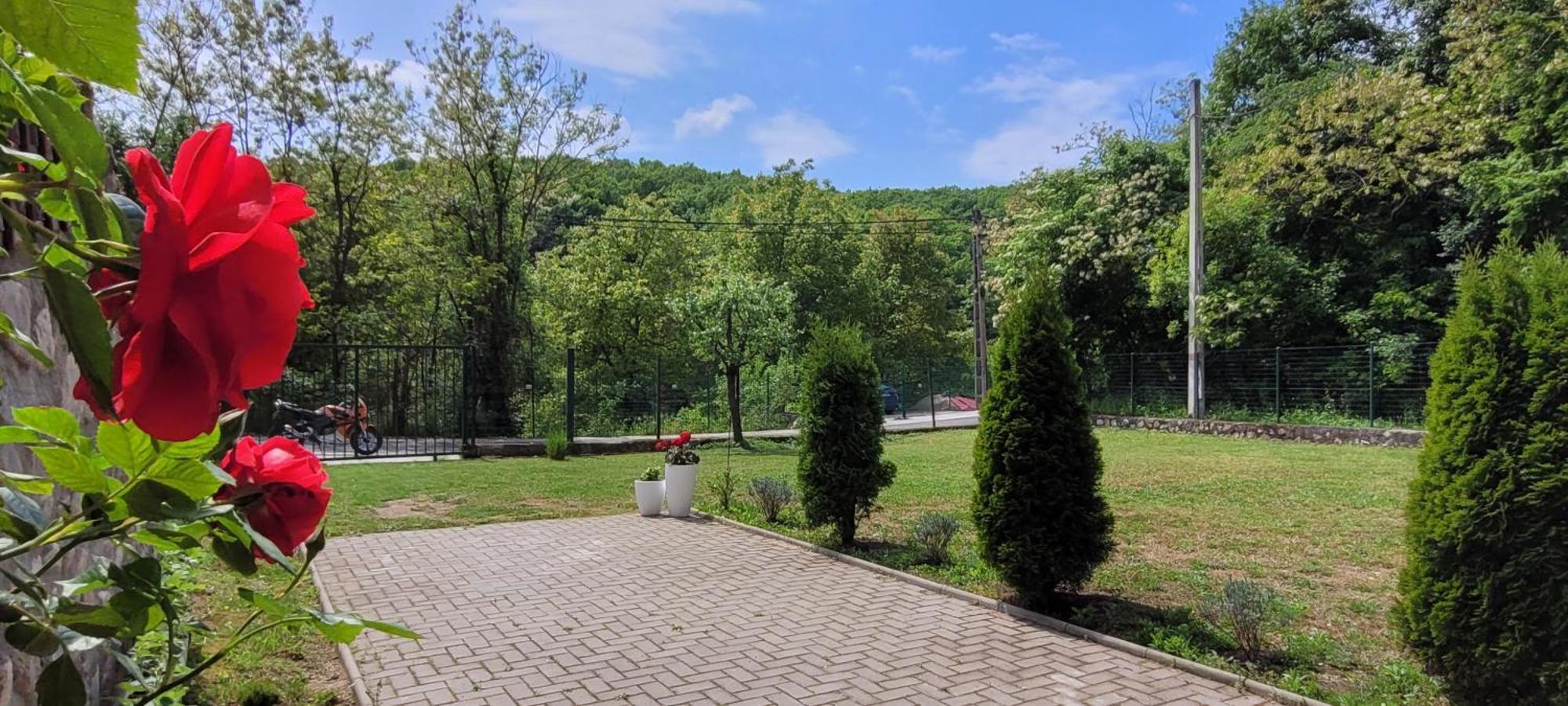 Casa Patryk Hotel Orşova Buitenkant foto